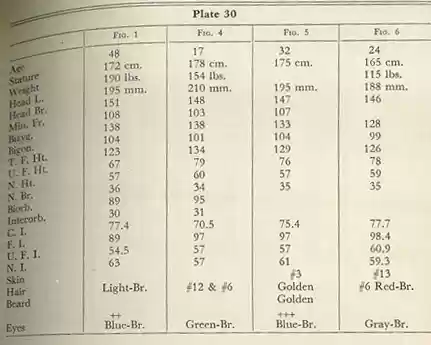 Plate 30